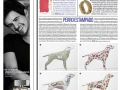 El Pais Magazine Gerald Lazerian