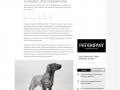 Fast Company Gerald Lazerian