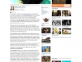 The Telegraph Goldfrapp.jpg